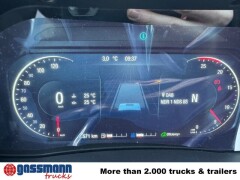 MAN TGS 18.480 BL 4x2, 20x VORHANDEN! 